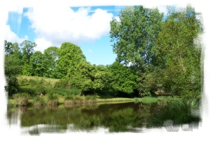 Etangs de Milin Seazh