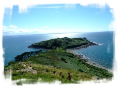 Le Point de Bihit