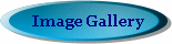 Image Gallery